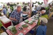 Bob Dehn of Dehn’s Garden talked in May with customers at the Minneapolis farmers market.