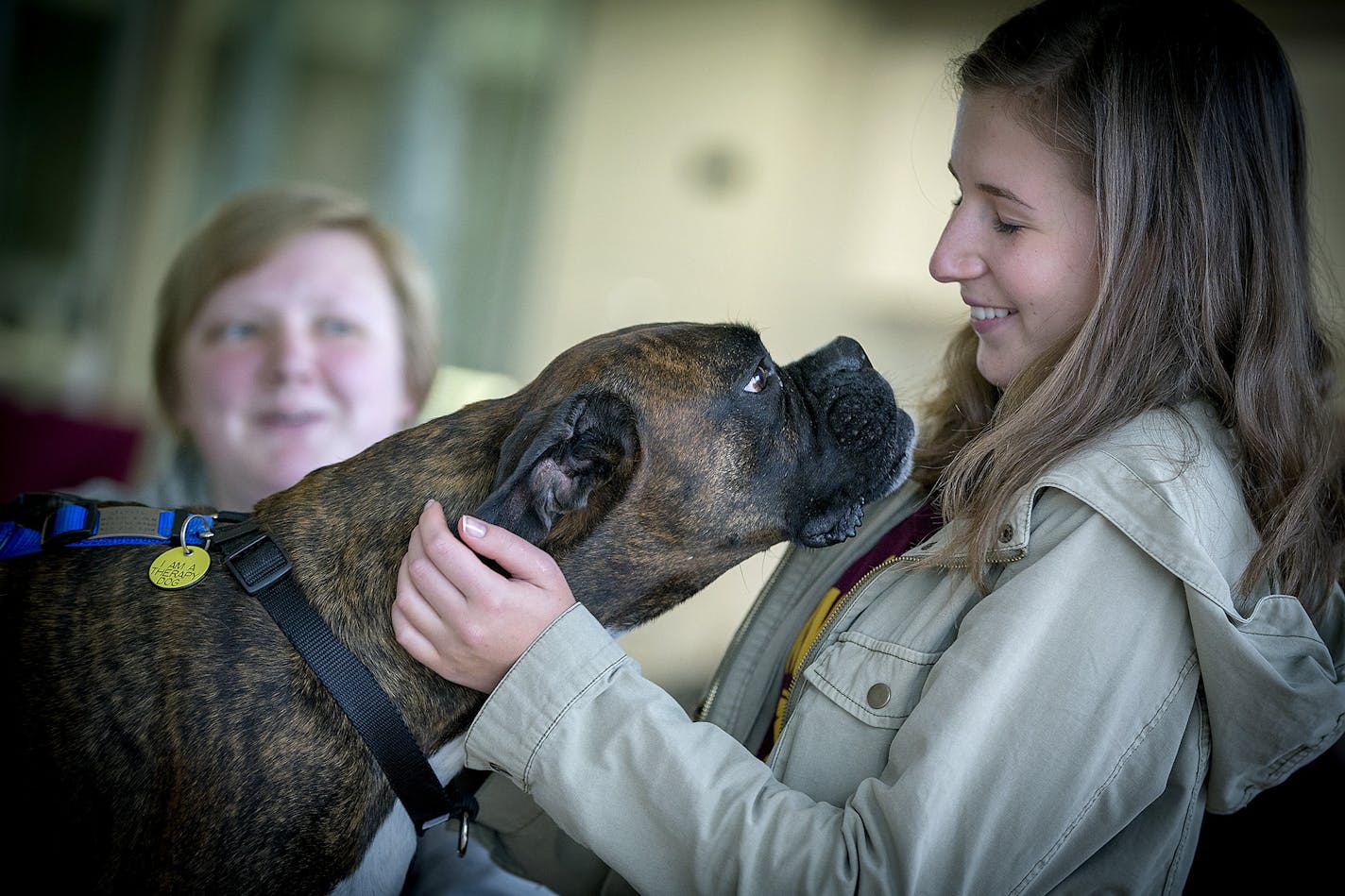 Emily Kaszyk, a freshman from Chicago, got to know Bode the Boxer at the University of Minnesota Recreation and Wellness Center. "I miss my dog from home, so I come here," Kaszyk said.