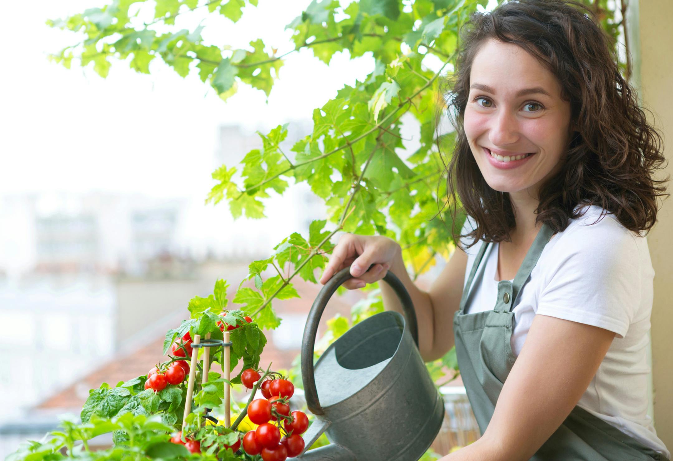 Good soil will mean the difference between plants that thrive and those that wither. (Dreamstime)