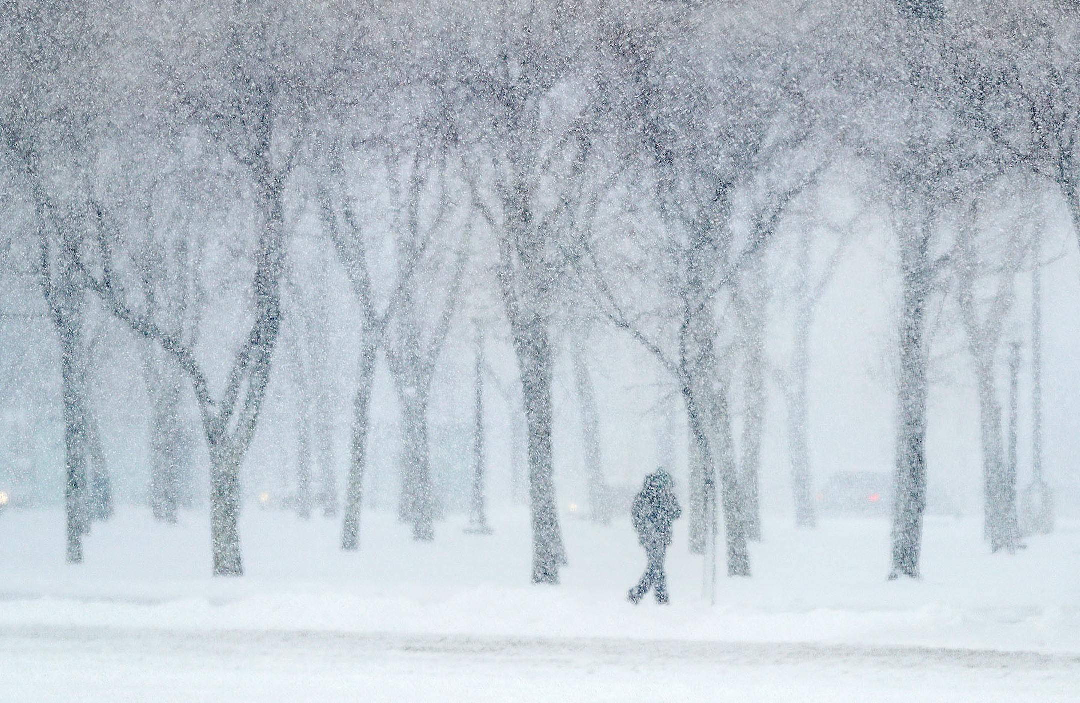 As the snow piled up in downtown St. Paul, folks tried to navigate to safety before being stuck.