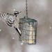 A male downy woodpecker lands on a bird feeder filled with suet.