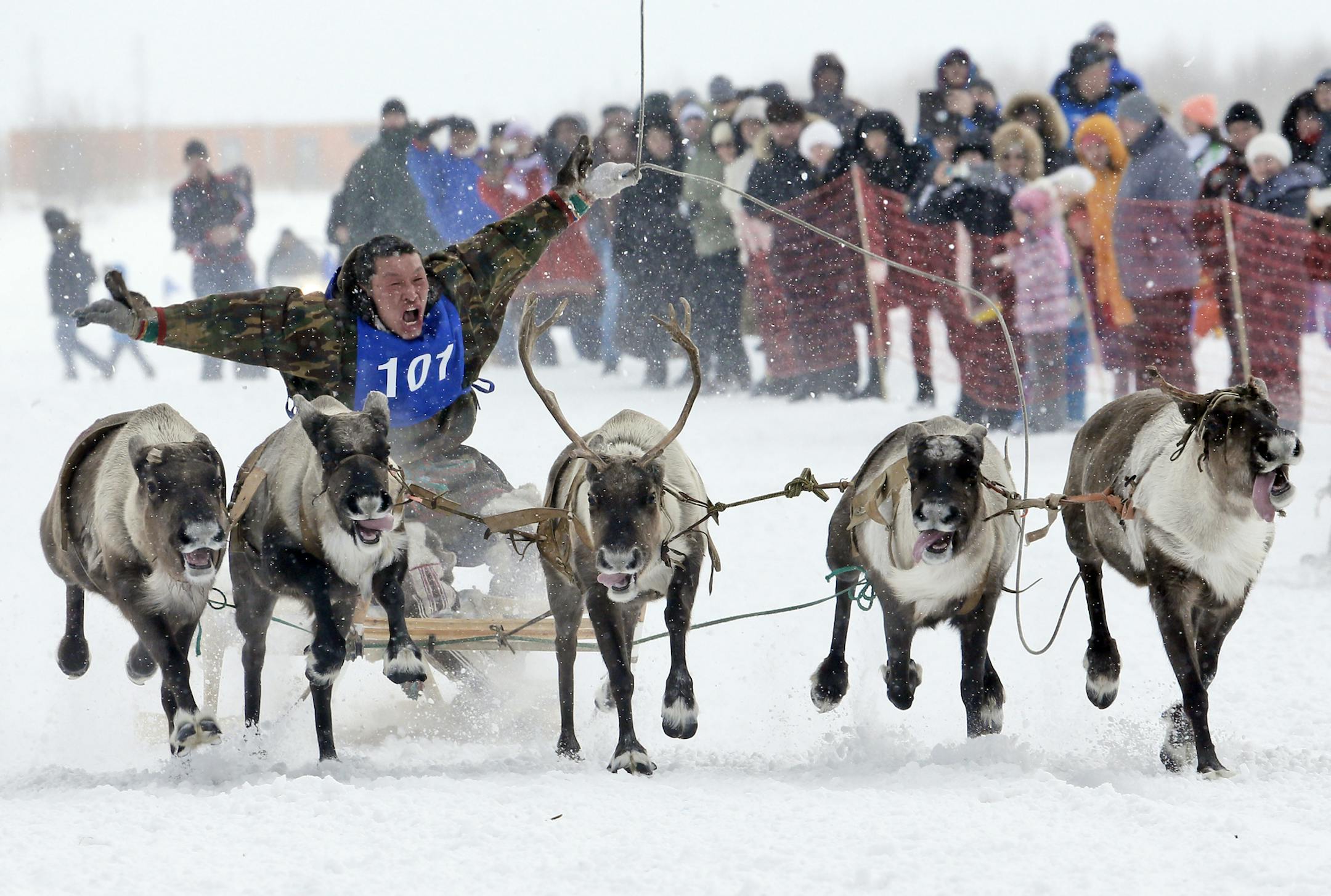 In this photo taken on Sunday, March 15, 2015, a Nenets man takes part in a reindeer race at the Reindeer Herder's Day in the city of Nadym, in Yamal-Nenets Region, 2500 km (about 1553 miles) northeast of Moscow, Russia. For the indigenous nomadic Nenets people, the Reindeer Herder’s Day offers a chance to show their prowess in wrestling, high jumps and other traditional local sports, but, above all, reindeer races. (AP Photo/Dmitry Lovetsky)