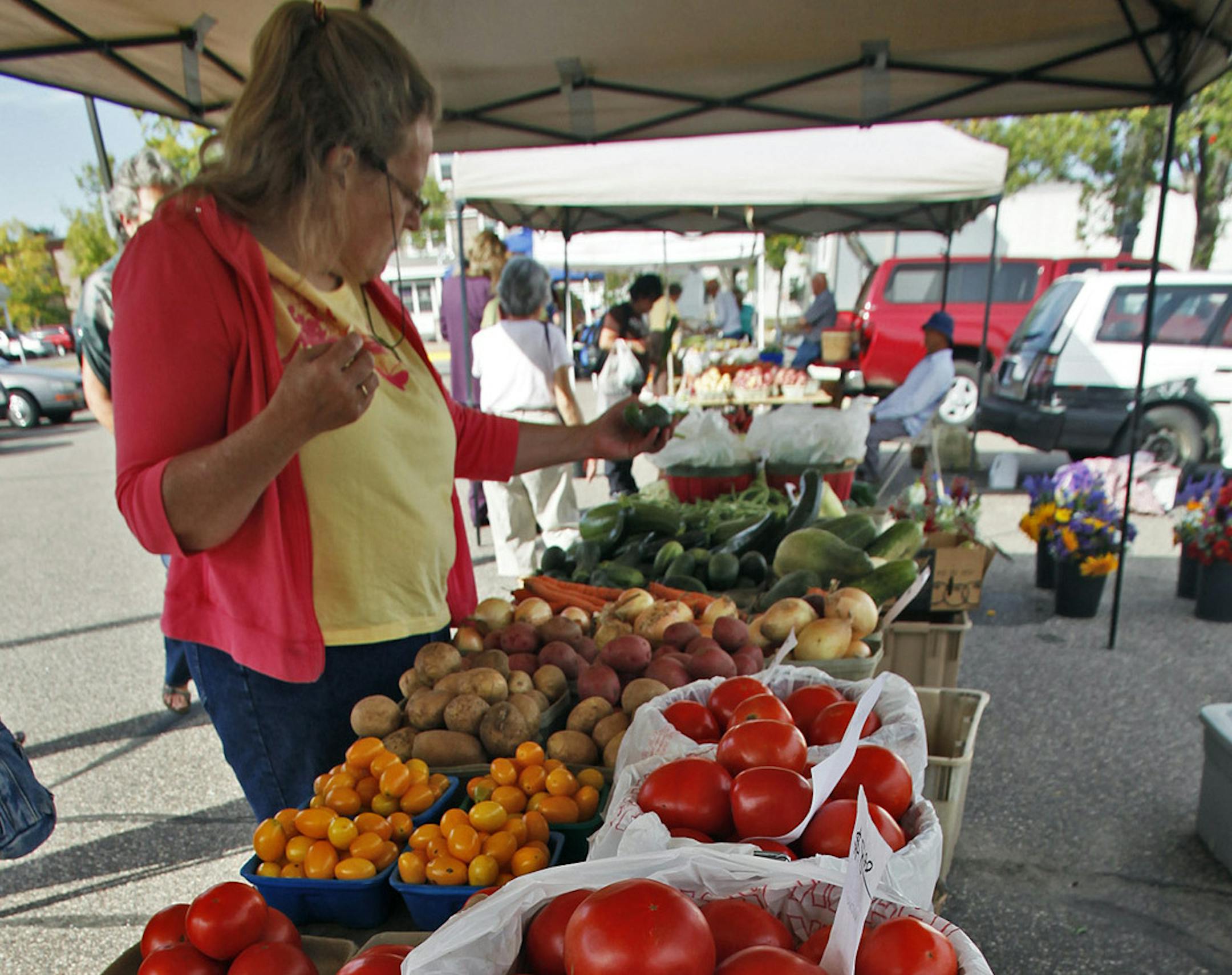 MARLIN LEVISON * mlevison@startribune.com Assign. #20009714A September 24, 2009] GENERAL INFORMATION: Farmers Market in downtown Anoka. IN THIS PHOTO: Tomatoes for sale at the market. ORG XMIT: MIN2014051012020512