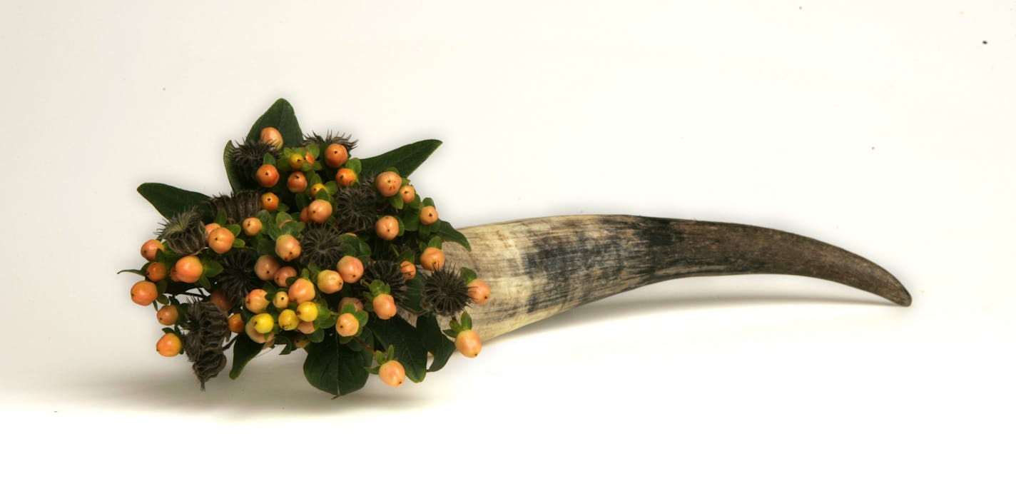 A variation on the traditional horn of plenty. We used a naturally shed steer horn and filled it with hypericum berries and the ultimate low-cost material: feathery seed heads from a volunteer gourd growing next to the garage in the alley.