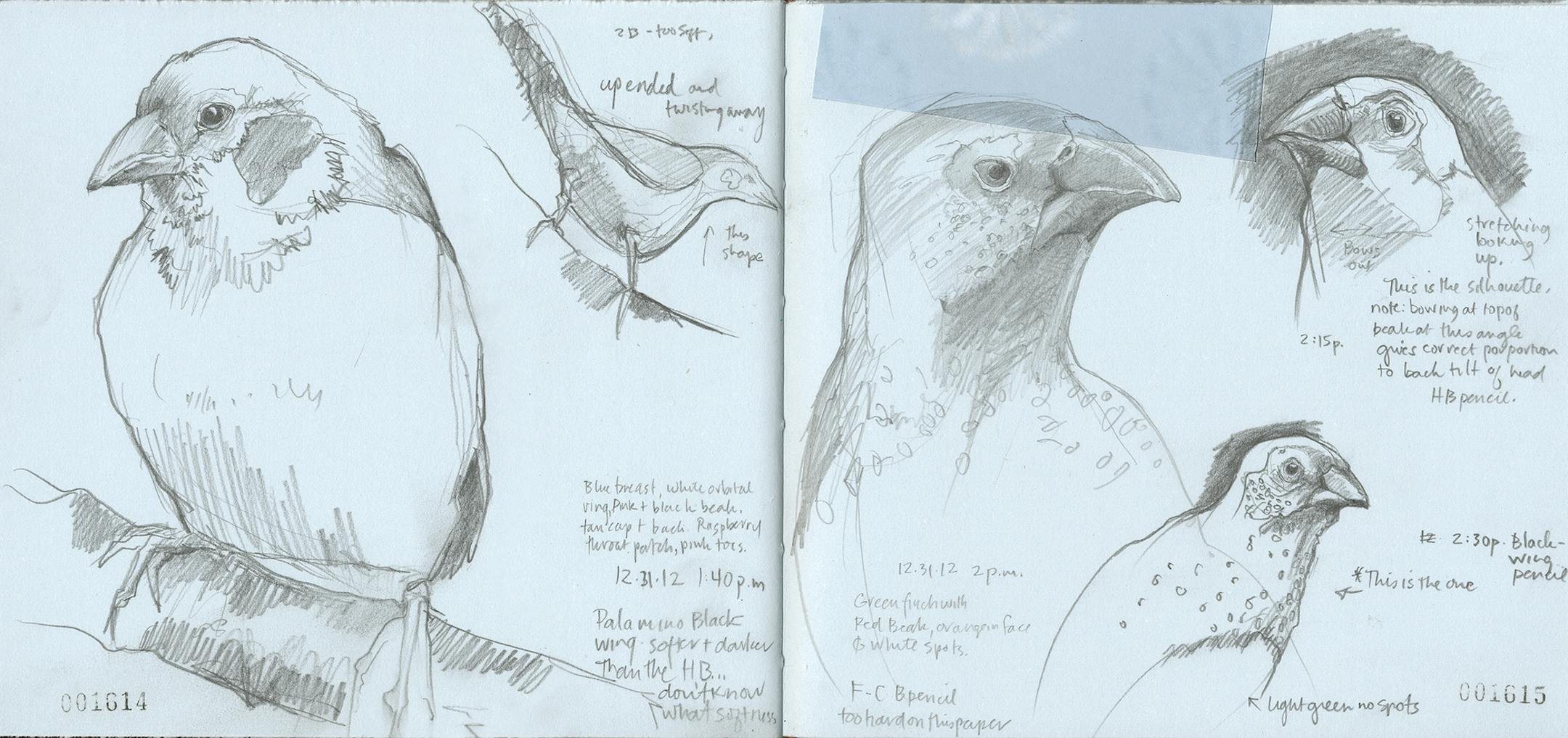 Roz Stendahl sketches from one of her journals.