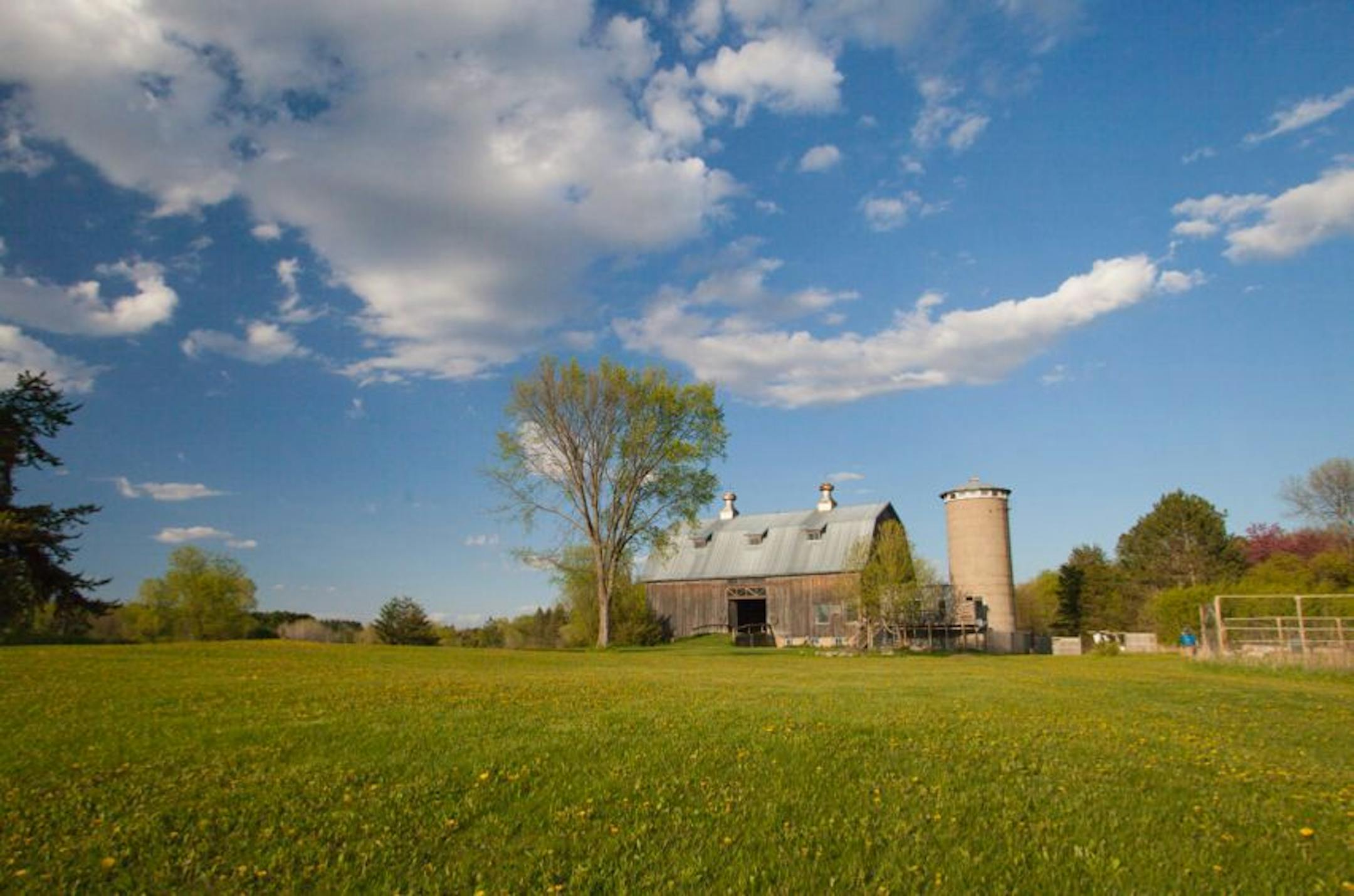 Festival grounds for PolliNation, Kissing Birch Farm, Stillwater