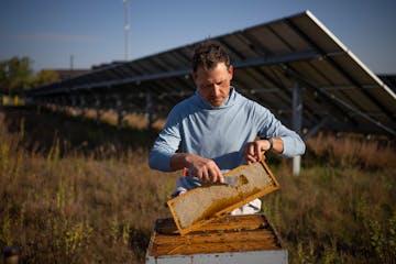 Dustin Vanasse, owner of Minneapolis-based Bare Honey, showed the honey made by the bees he keeps at the Connexus Energy solar array in Ramsey in Octo