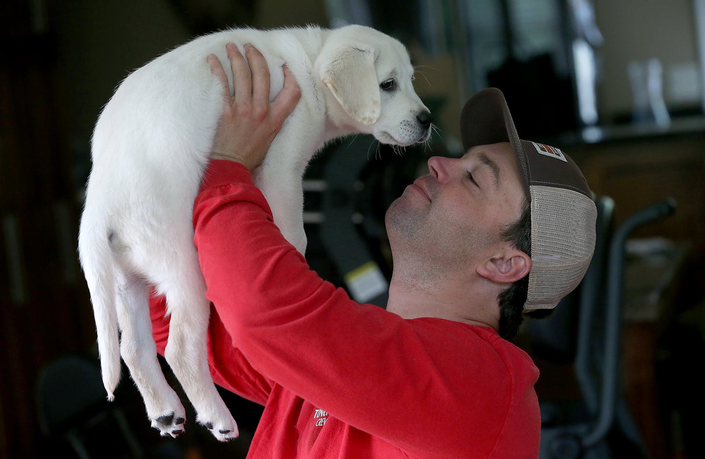 Ryan Neslund, a paraplegic man who fell through the ice on Lake Minnetonka last February, played with his new puppy "Ranger," Thursday, May 7, 2015 in Wayzata, MN. Nelson, who managed to swim out of his truck and get help, lost his dog "Balou" who was in the passenger seat and didn't make it out with him. He recently received a puppy from people who were touched by his story. ] (ELIZABETH FLORES/STAR TRIBUNE) ELIZABETH FLORES &#x2022; eflores@startribune.com