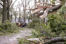 A loader clears a path from downed trees on Chandler Street SW, Monday, Aug. 10, 2020, in Cedar Rapids, Iowa. (Andy Abeyta/The Gazette via AP)