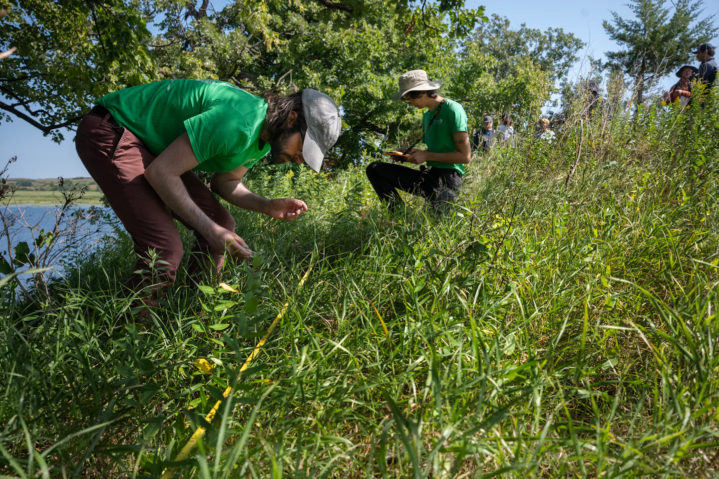 MN prairie restoration relies on prescribed fire to thrive