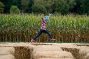 Ruby Pearsall, 7, leapt over hay bails in the kid's maze at Sever's Corn Maze at it's new location in Shakopee, Minn., on Friday, October 4, 2019. ] R