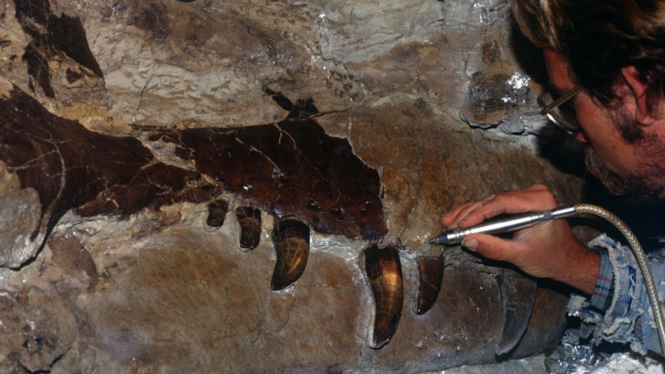 Lionsgate Paleontologist Peter Larson in "Dinosaur 13."