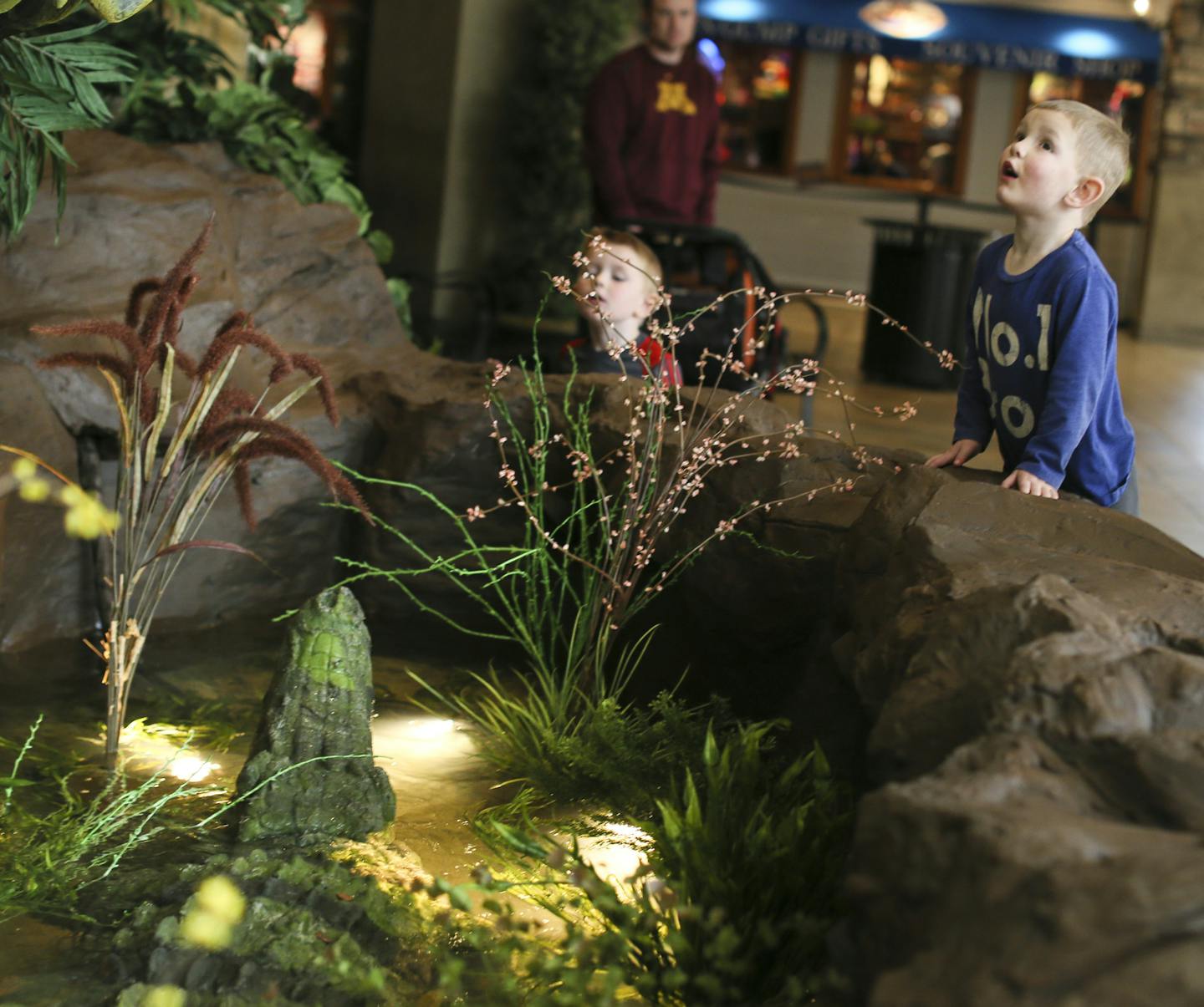 Kai Anderson, 3, was in awe as he looked at the decor at the front entrance on opening day of the new Rainforest Cafe at the Mall of America in Bloomington, Minn., on Friday, January 22, 2016. ] RENEE JONES SCHNEIDER &#x2022; reneejones@startribune.com The new Rainforest Cafe in located a floor up from the old restaurant and has a patio and a thunderstorm effect every 20 minutes.