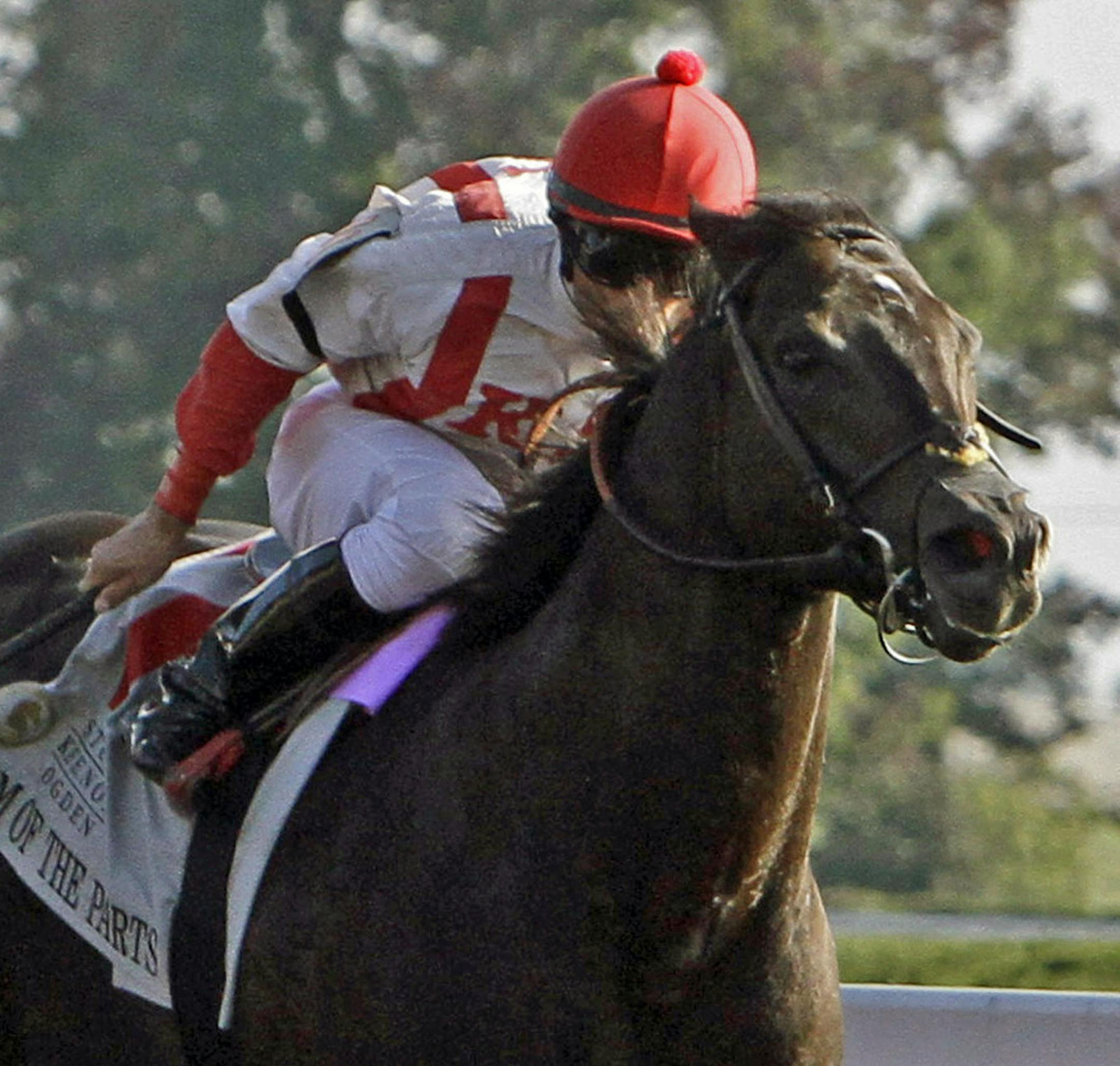 Sum of the Parts, with Leandro Goncalves aboard, runs to victory in the $200,000 Phoenix Stakes horse race at Keeneland Race Course in Lexington, Ky., Friday, Oct. 4, 2013. Sum of the Parts qualifies for an automatic bid to the Breeders' Cup Sprint in November. (AP Photo/Garry Jones) ORG XMIT: KYGJ107