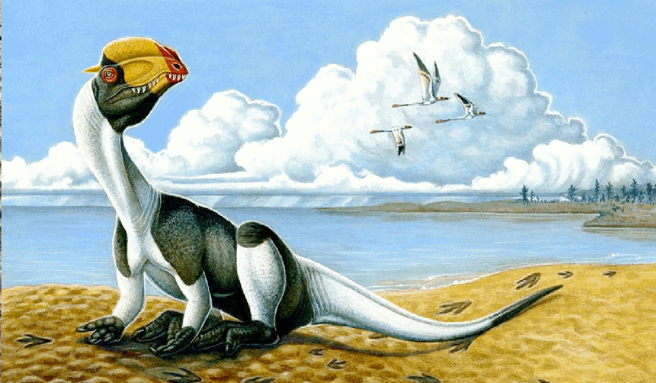 Crouching meat-eating dinosaur tracks with hand prints (arrows) showing bird-like inward-facing palms at the St. George Dinosaur Discovery Site at Johnson Farm, Utah, left. Reconstruction of the formation of the tracks by the large meat-eating dinosaur 198 million years ago, right. Illustrates DINOSAUR (category a) by Thomas H. Maugh II (c) 2009, Los Angeles Times. Moved Tuesday, March 3, 2009. (MUST CREDIT: Photo illustration courtesy of H. Ky Luterman, Cedar City, Utah.)