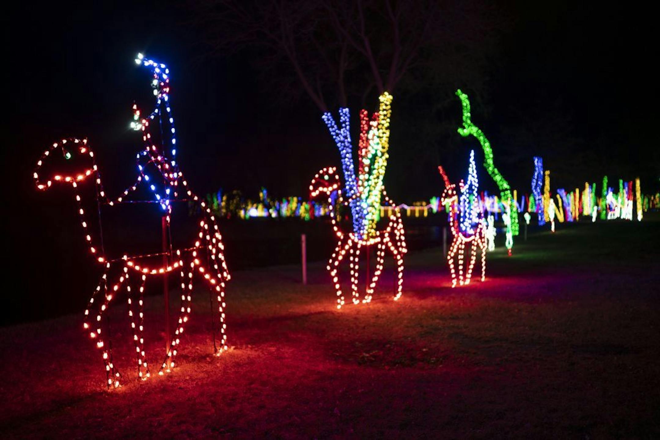 A display of the three wise men on camels.