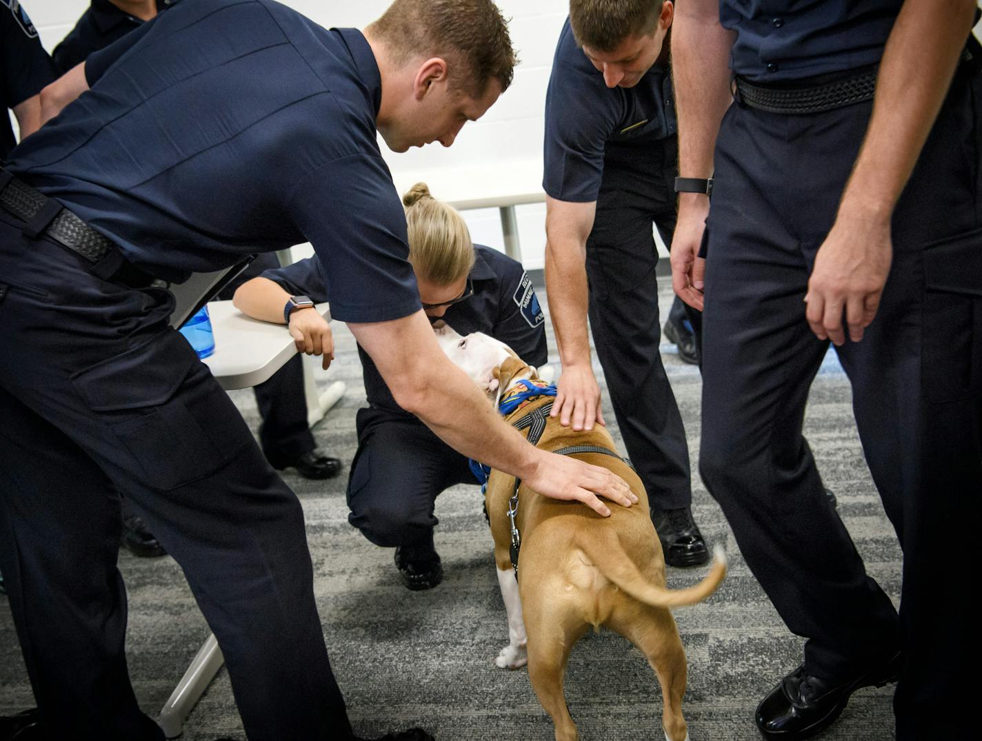 Minneapolis police recruits petted Wilbur at the end of class. ] GLEN STUBBE &#xef; glen.stubbe@startribune.com Monday August 21, 2017 Minneapolis police recruits will meet with dog trainer and national leader of "My Pitbull is Family" Monday, part of fulfilling the department's promise for "dog interaction" training after two dogs were shot by an officer this summer in north Minneapolis. Minneapolis police recruits listened as J. Scott Hill, chief Investigator for Montgomery Alabma's humane off