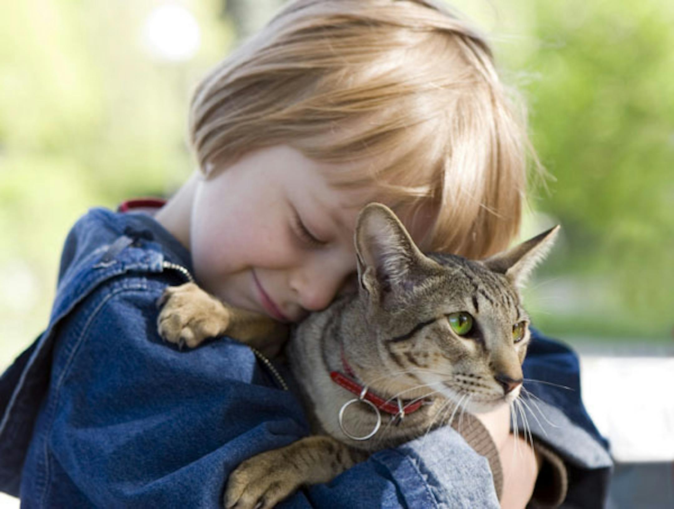 Deciding where to draw the line for a beloved pet's health care is a personal decision.