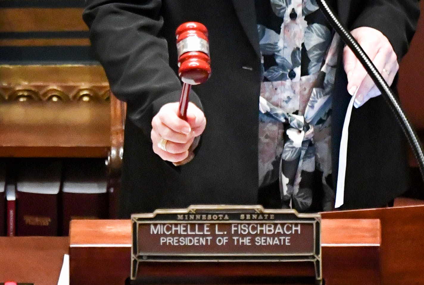 At 12:05 Lt. Gov. Michelle Fischbach gaveled the Senate into session. Ten minutes later Senator Ron Latz, DFL-St. Louis Park, maintained that Lt. Governor Fishbach presiding over the Senate is in conflict with the state constitution. ] GLEN STUBBE &#x2022; glen.stubbe@startribune.com Tuesday, February 20, 2018 The 2018 legislative session convenes in St. Paul with House and Senate convening at 12 noon. Biggest possible drama is in the Senate, where uncertainty around the status of Lt. Gov. Miche