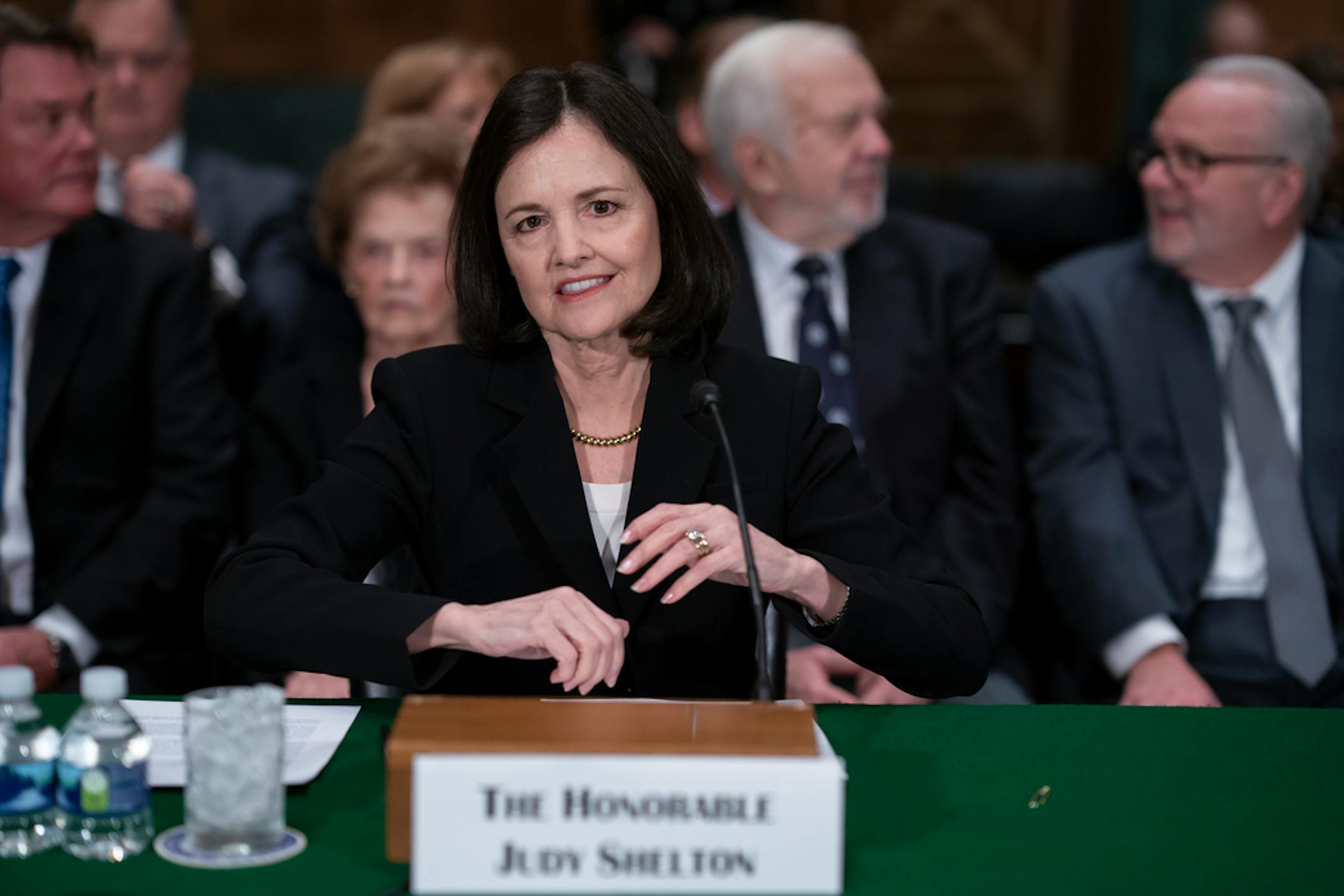President Donald Trump's nominee to the Federal Reserve, Judy Shelton, appears before the Senate Banking Committee for a confirmation hearing, on Capitol Hill in Washington, Thursday, Feb. 13, 2020. (AP Photo/J. Scott Applewhite)