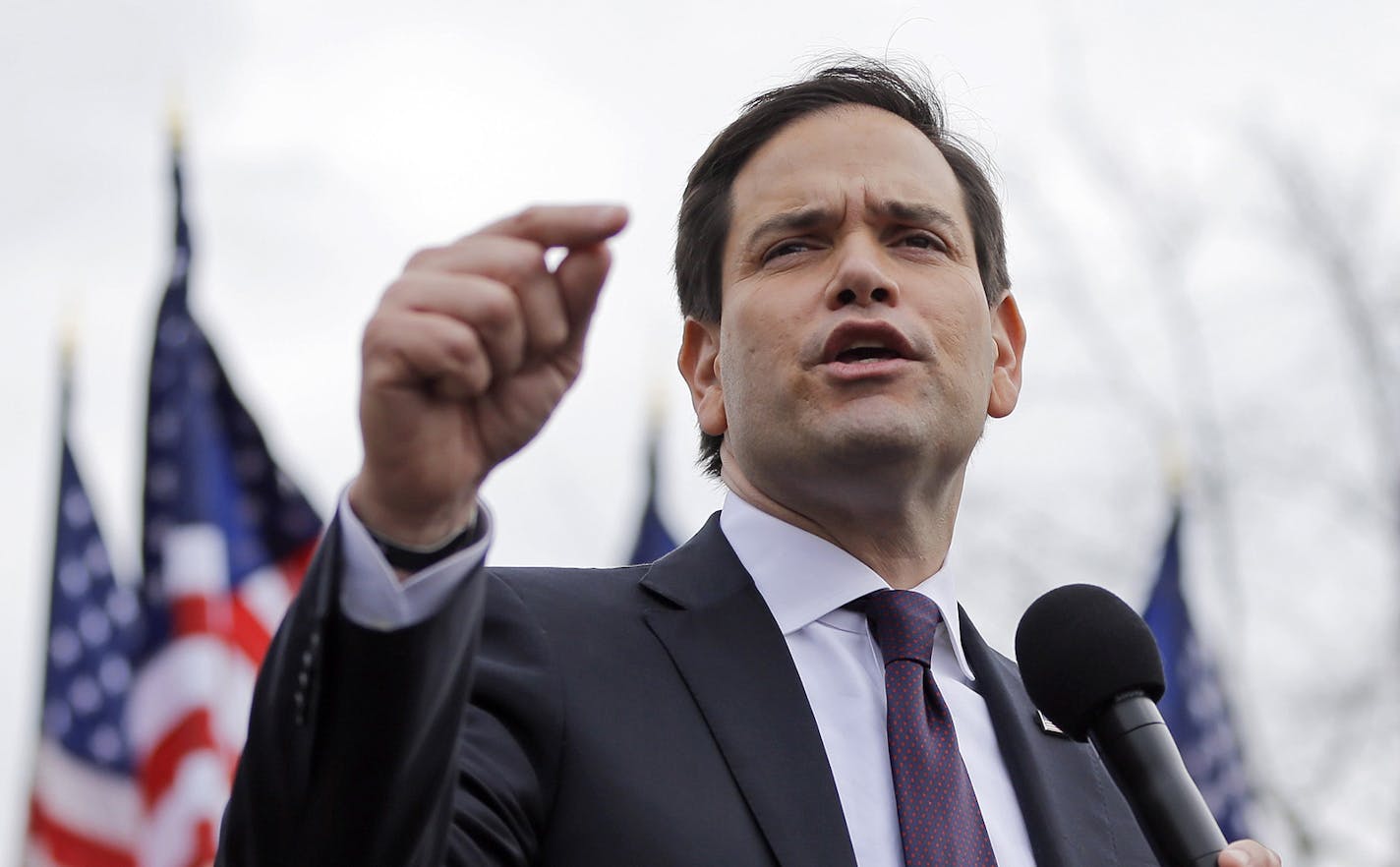 Republican presidential candidate Sen. Marco Rubio, R-Fla, speaks at a rally Sunday, Feb. 21, 2016, in Franklin, Tenn. (AP Photo/Mark Humphrey) ORG XMIT: MIN2016022314385746