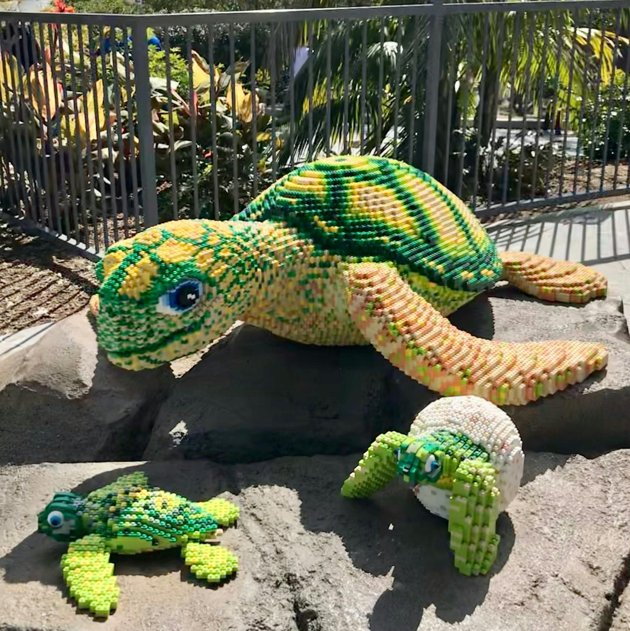 Turtles made from Lego bricks are a few of 30,000 such sculptures within the LegoLand California theme park. Photo by Berit Thorkelson * Special to the Star Tribune