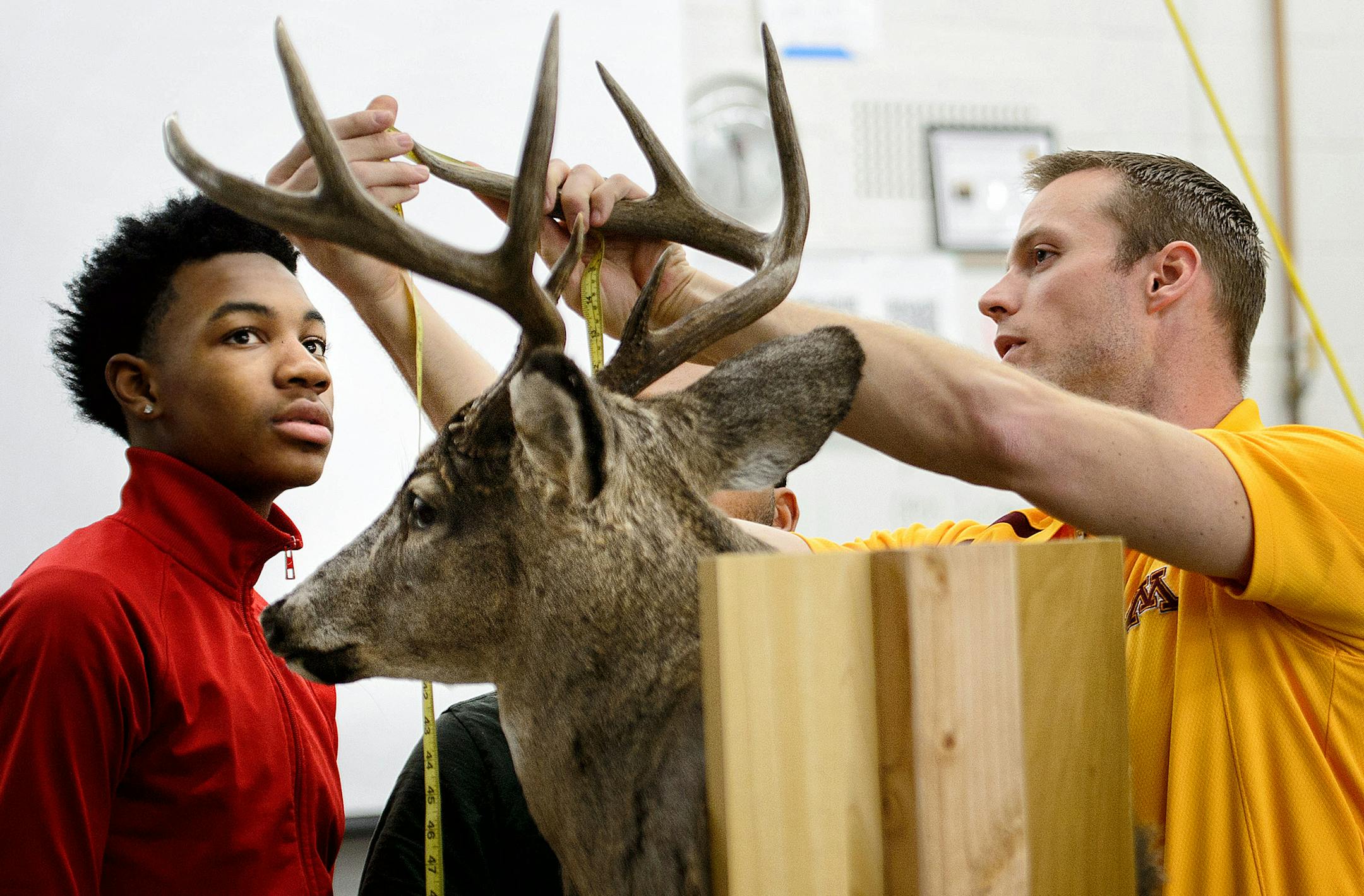 Peter Brown teaches Agriculture, Food & Natural Resources at Highland Park High School. where he showed Artreal Haggins how to score antlers of a buck using the Boone and Crockett system in fish and wildlife class. ] GLEN STUBBE * gstubbe@startribune.com Wednesday, February 11, 2015 Peter Brown teaches Agriculture, Food & Natural Resources at Highland Park High School where Steven Crenshaw and Artreal Haggins learned to score antlers of a buck using the Boone and Crockett system in fish and wild