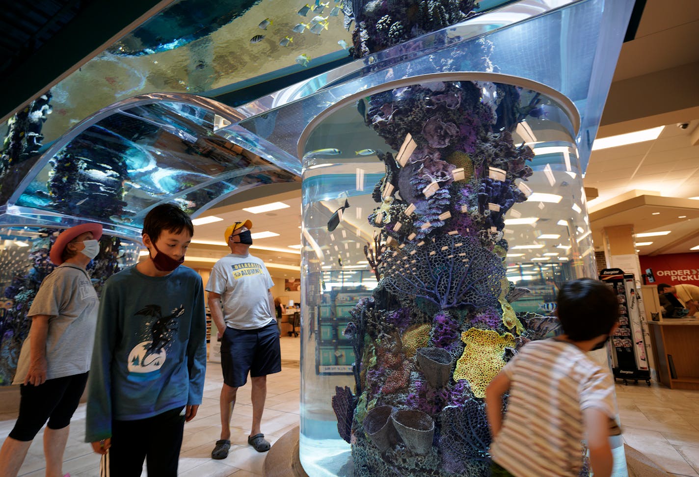 With mask mandates being lifted by cities across the Twin Cities as more people become vaccinated and start to venture out, retailers have started to unveil attractions and again focus on getting shoppers in their doors. Here at Scheels Eden Prairie Center megastore, customers can walk under a 16,000 gallon saltwater aquarium (here) or take a ride on the 65-foot indoor Ferris wheel. brian.peterson@startribune.com