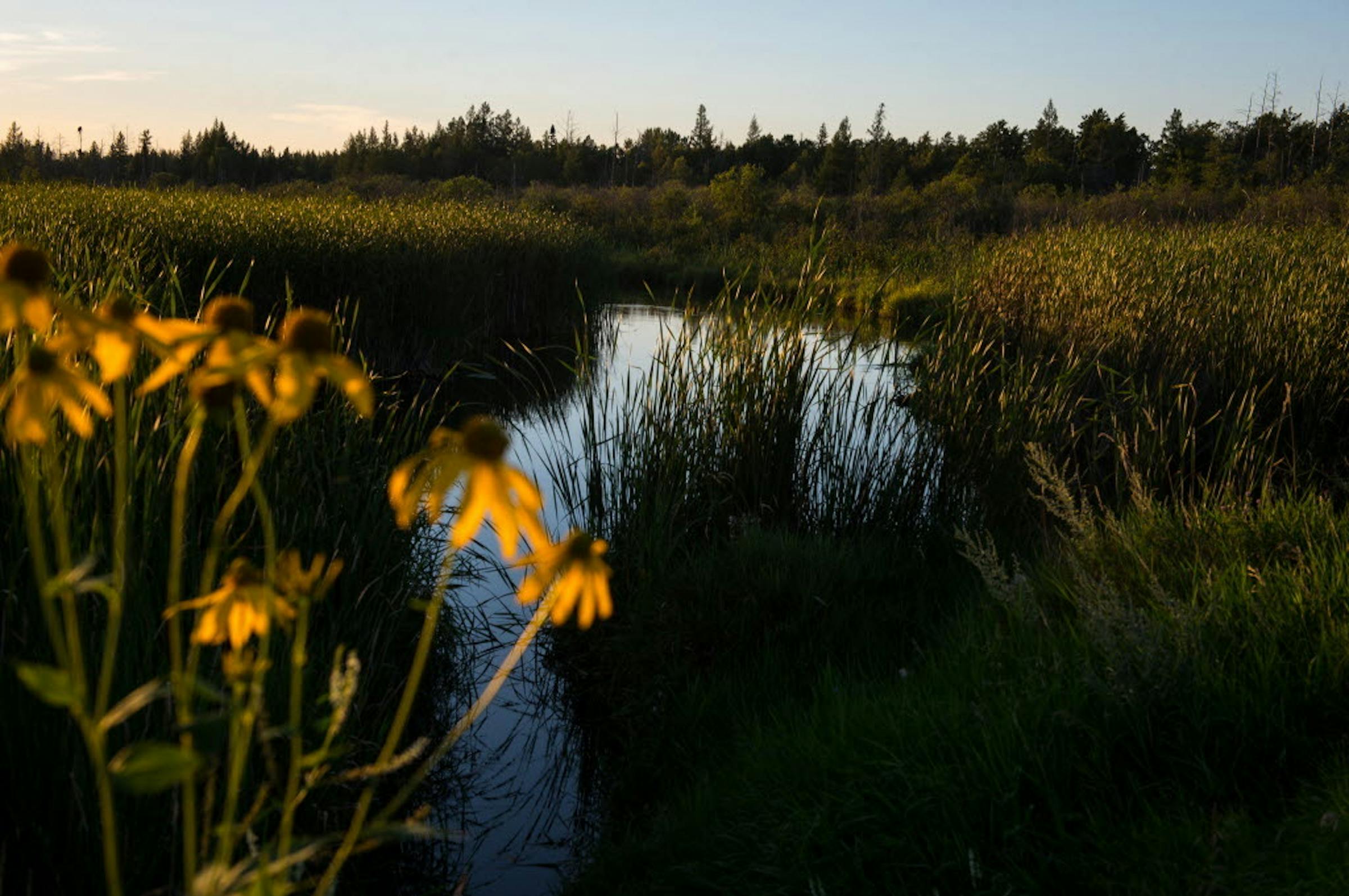 https://arc.stimg.co/startribunemedia/S6NBEW6VLJGKISTEEWJWAXS7JI.jpg?&w=1200&ar=1.91:1&fit=crop