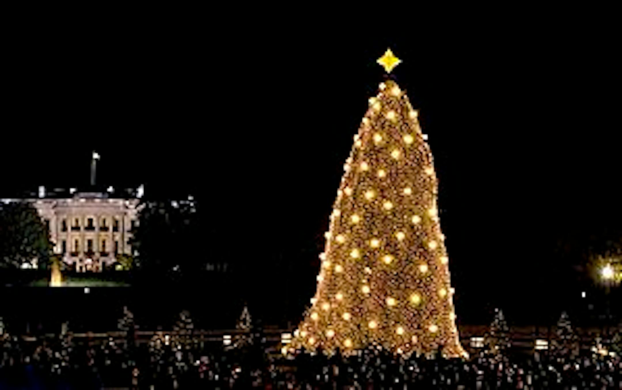 The National Christmas Tree, near the White House in Washington, is illuminated during a ceremony attended by President George W. Bush and first lady Laura Bush, Thursday, Dec. 4, 2008.  (AP Photo/J. Scott Applewhite)