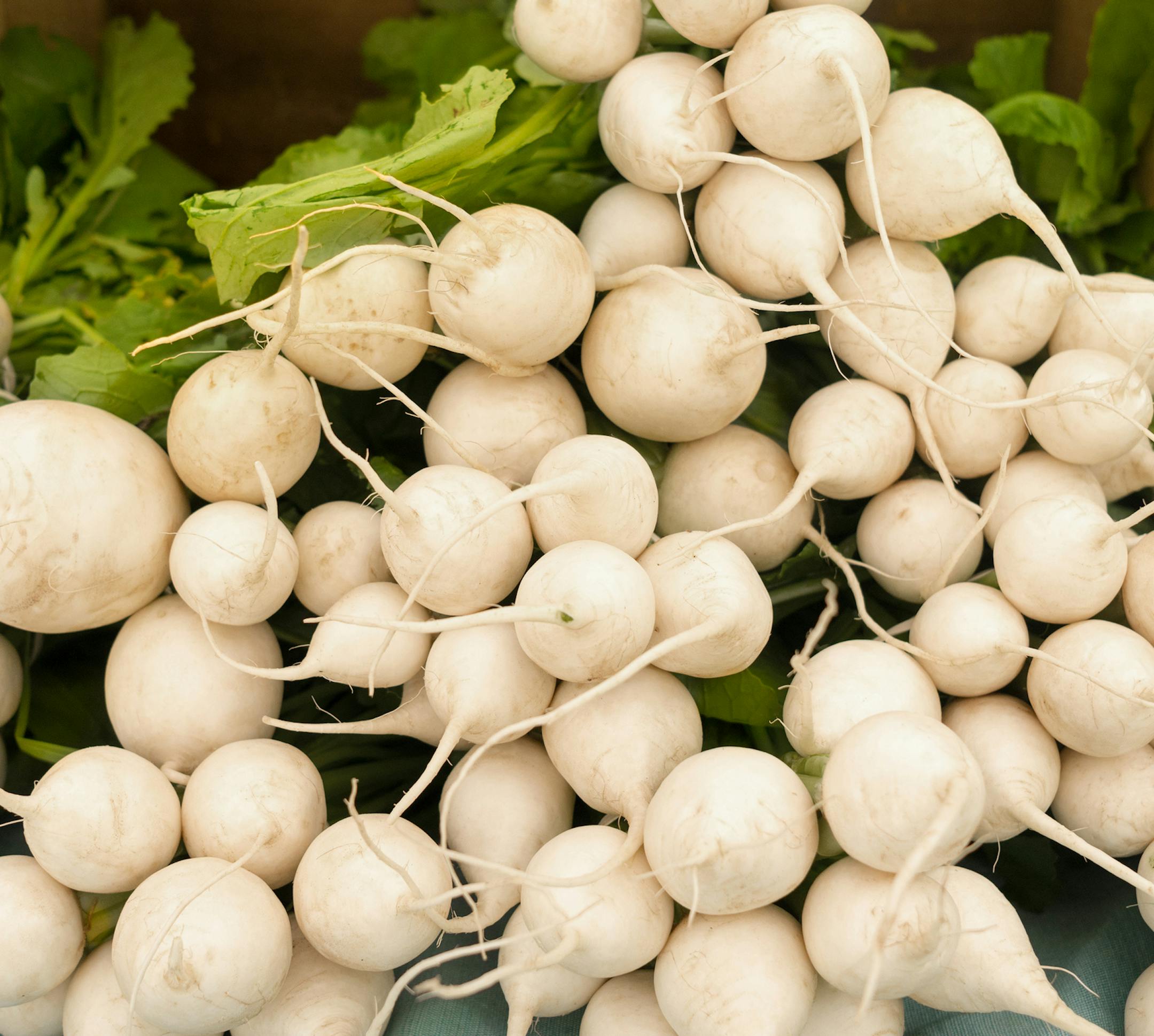 hakurei turnips for sale in farmers market. istock