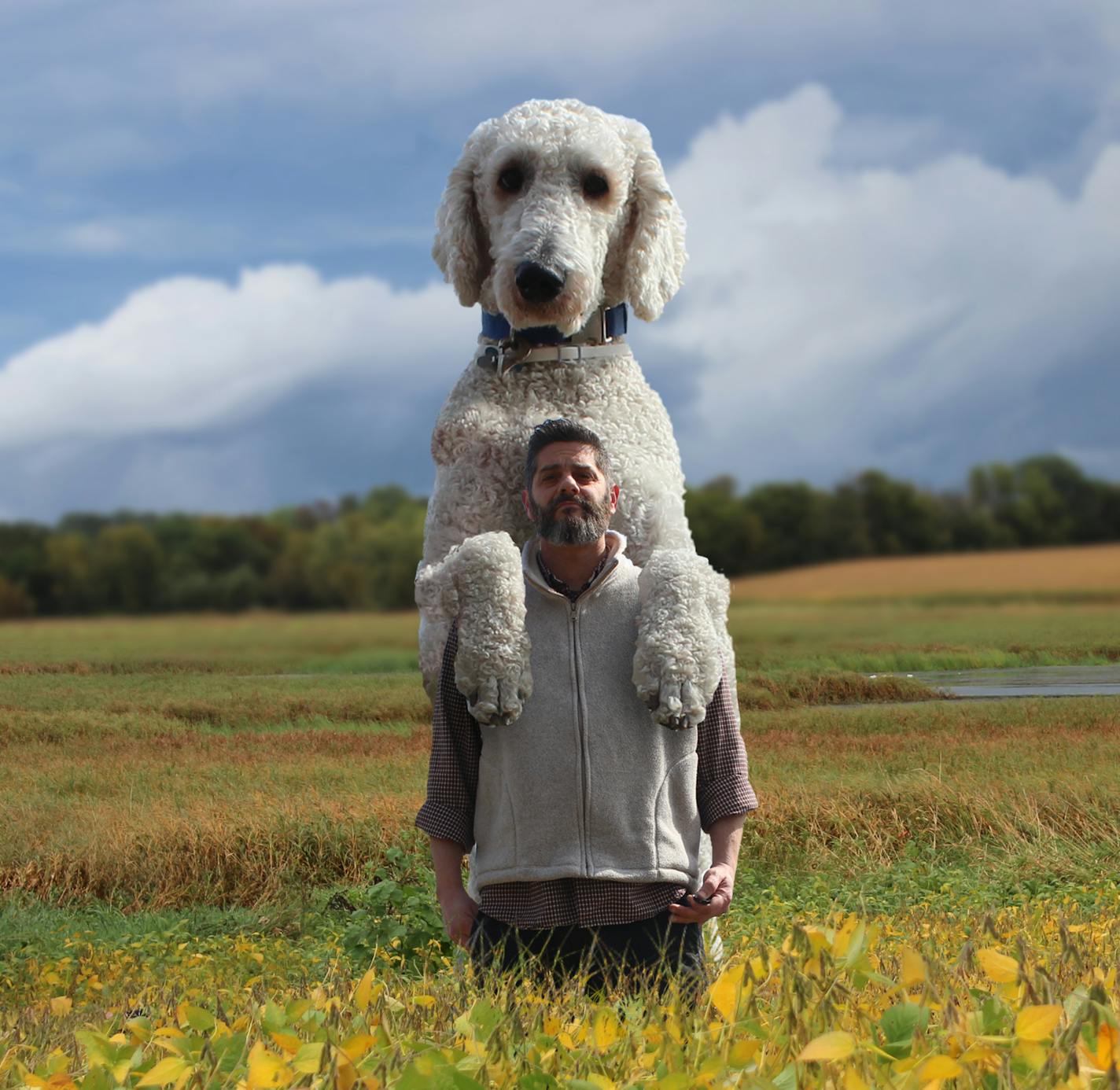 One of the BigDog instagram images that have made Chris Cline and his dog Juji the doodle a global star via his Instagram account, @christophercline, based in Buffalo, Minn.