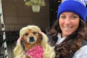 Jessica Klugman’s Chiweenie, Pearl, took first place as Barbie in a Hopkins dog costume contest Saturday.