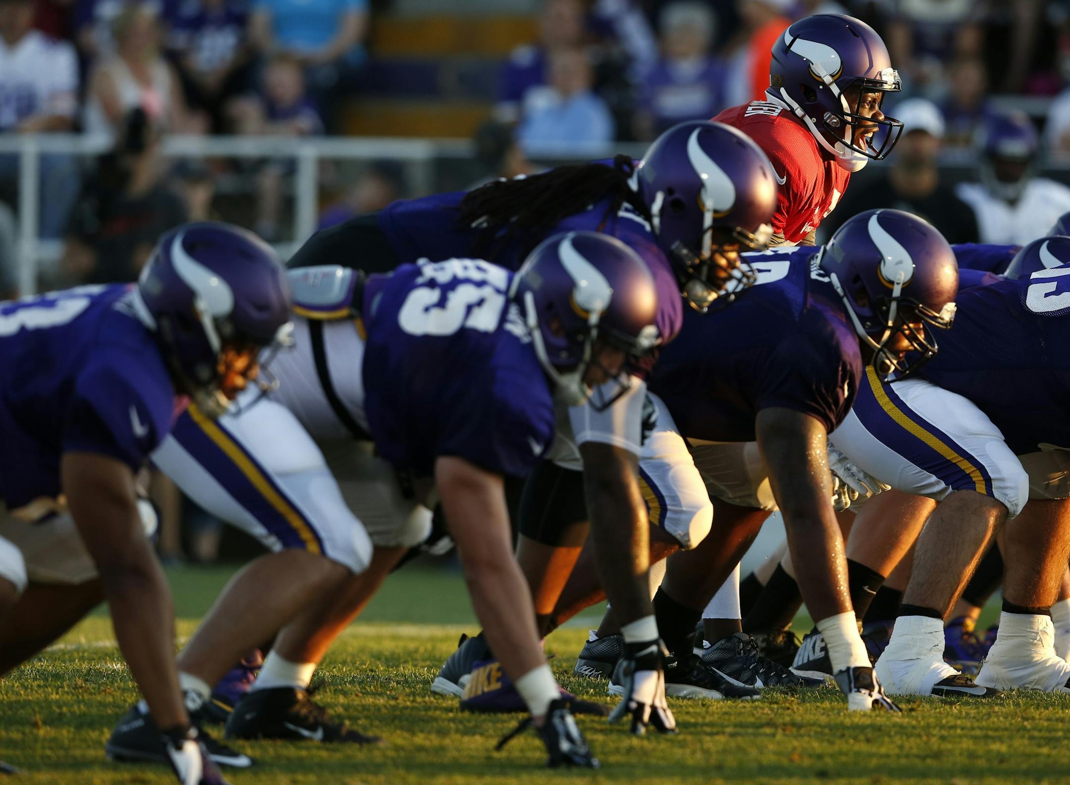 Vikings offensive line.