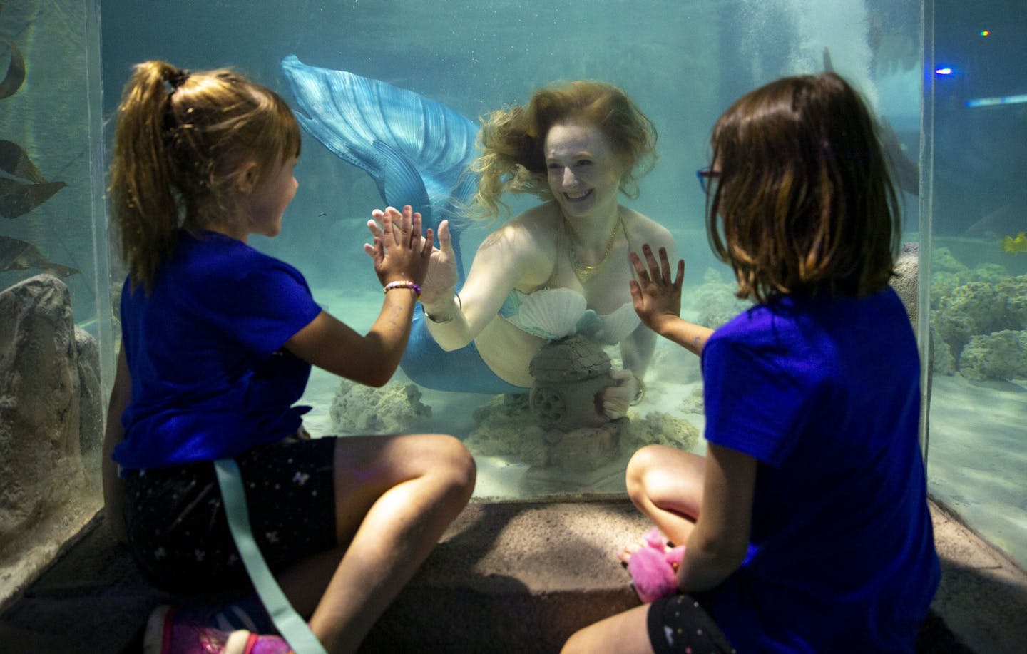 Savanna Pieper and Maria Donnay met Lindsey Stupica in an underwater tunnel while Stupica swam in a saltwater tank at SeaQuest.