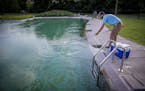 Robert Brown, a water resource specialist for the Minneapolis Park Department, tested the water at Webber Park Pool, Thursday, July 5, 2018 in Minneap