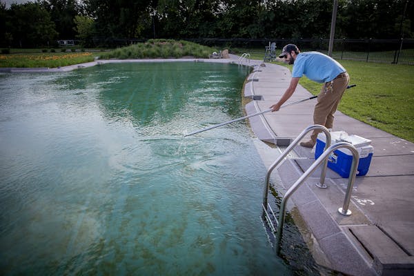 Robert Brown, a water resource specialist for the Minneapolis Park Department, tested the water at Webber Park Pool, Thursday, July 5, 2018 in Minneap