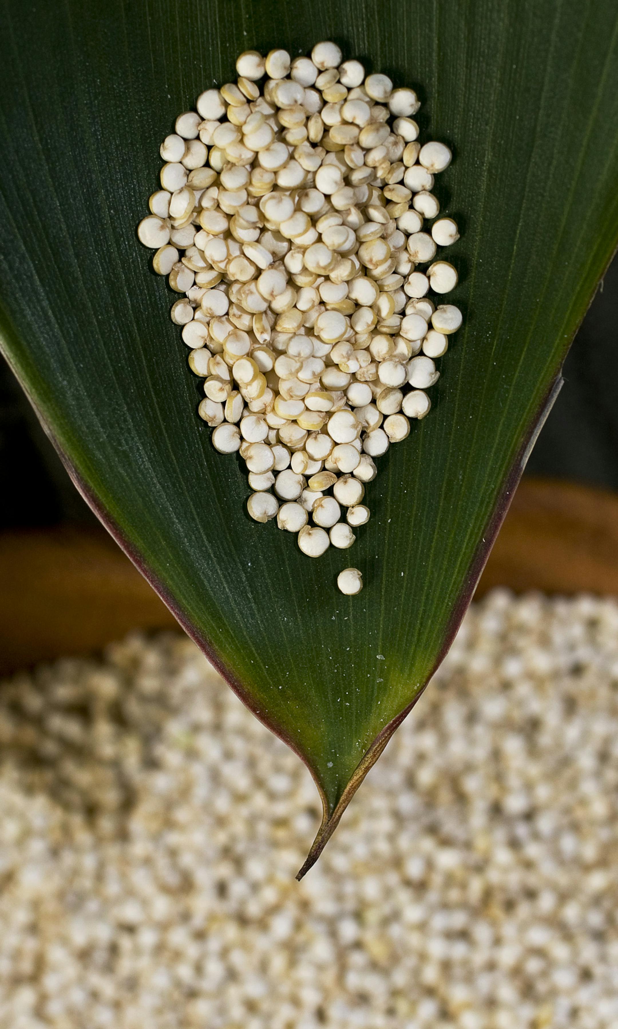 Not only is quinoa higher in protein than most grains, but it's also one of the rare vegetable sources of complete protein. (Ross Hailey/Fort Worth Star-Telegram/MCT) ORG XMIT: 1056008
