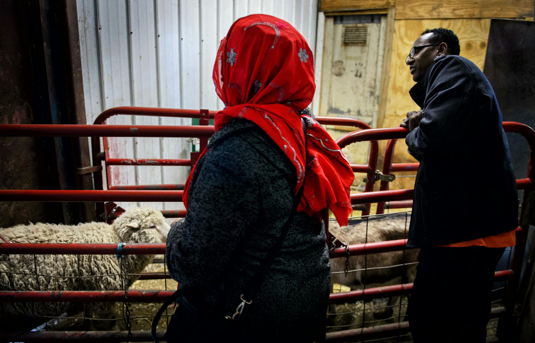 The Somali customers, Ali Hasni, right and his family friend chose this sheep and goat for a family celebration. They were weighed and the price was negotiated.