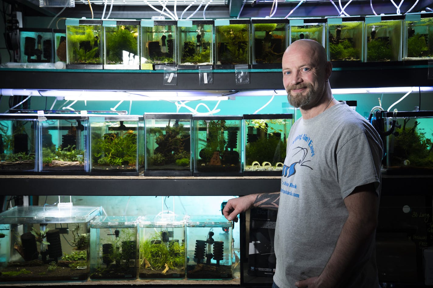 Joe Theisen is one of the biggest guys in shrimp -- tiny, decorative ornamental shrimp. He has a collection of over 55 varieties. Photographed in Plymouth, Minn., on Tuesday, February 26, 2019. ] photos and cookies by RENEE JONES SCHNEIDER &#x2022; renee.jones@startribune.com