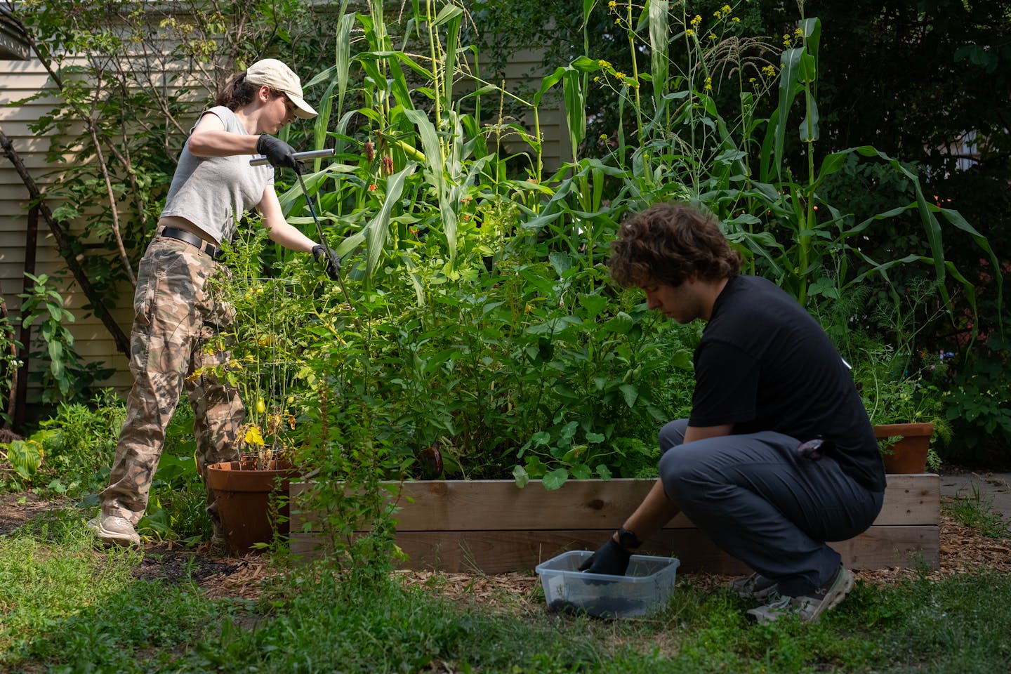 Researchers test Minneapolis soil after federal agents’ tear gas use