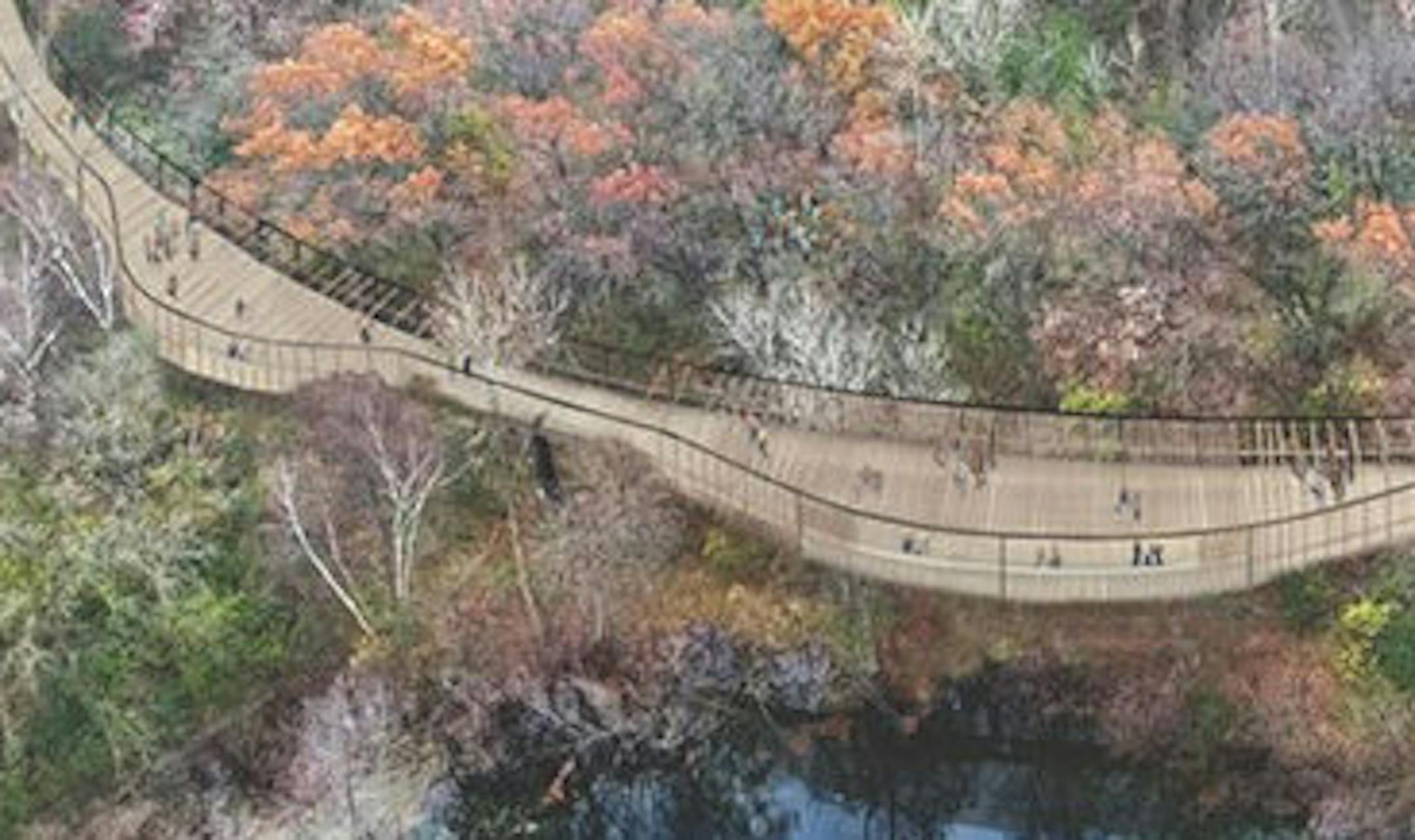 rendering of proposed Treetop Trail