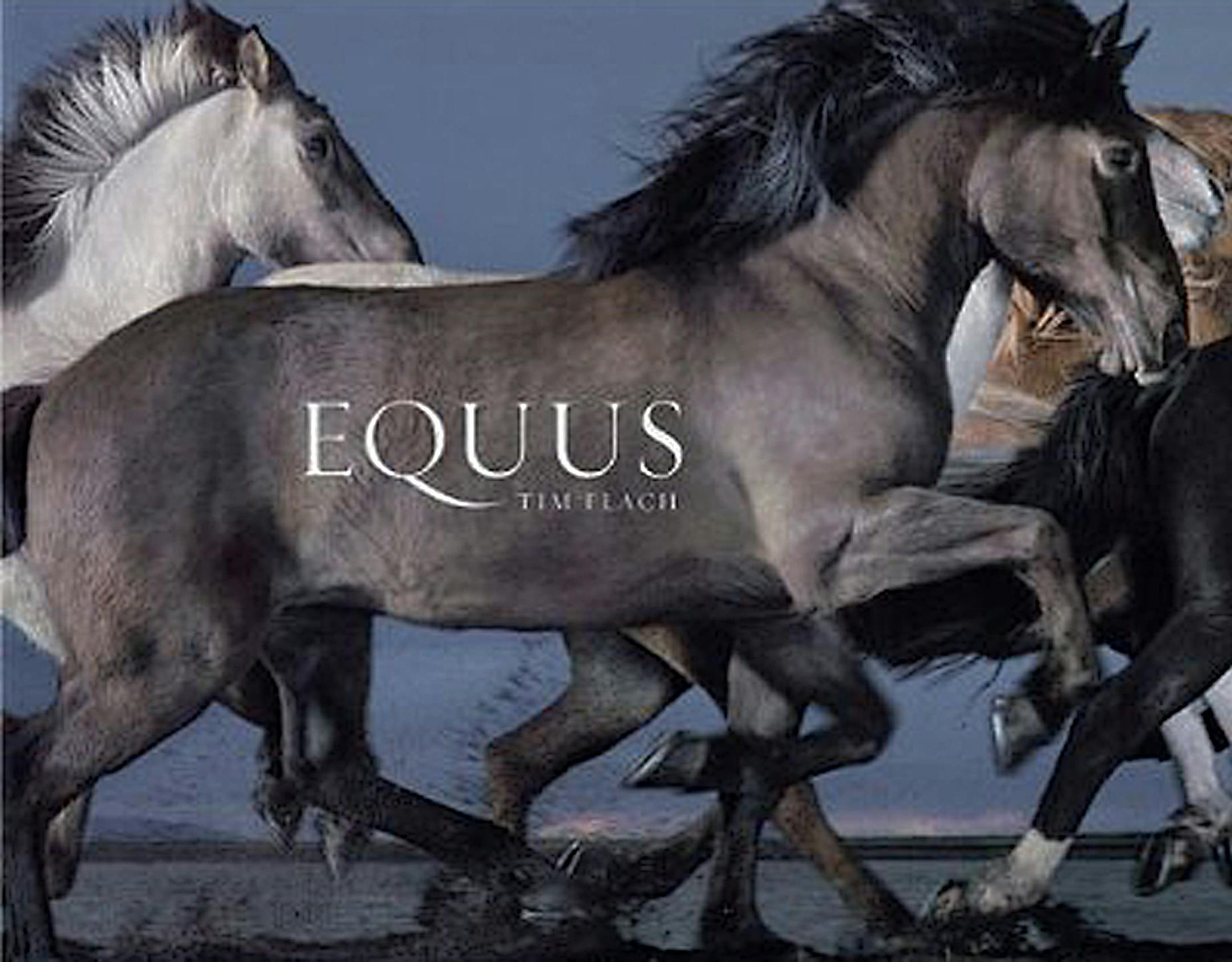 Equus by Tim Flach