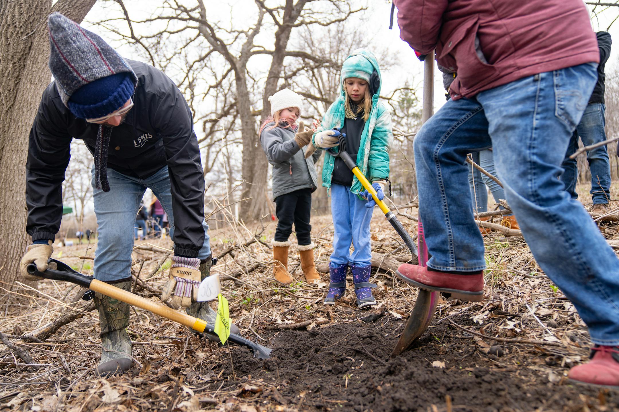 Zach Anderson, Nora Kelly, 6, Harriet Kelly, 7, and Carlos Padilla, left to right, dig a hole to plant an elm tree as part of a tree planting event on Saturday, April 22, 2023, on a Nature Hiking Trail leading to the Minnesota River in Bloomington.