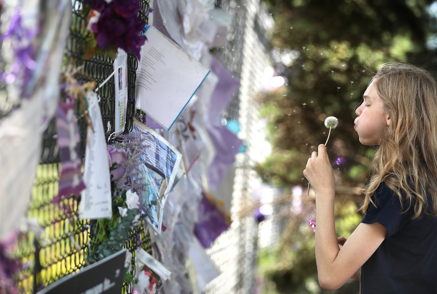 Genevieve Ortale, 13, of Burke, Virginia blows a dandelion flower towards the memorial at Paisley Park. ] (Leila Navidi/Star Tribune) leila.navidi@startribune.com BACKGROUND INFORMATION: At Paisley Park in Chanhassen on July 4, 2016. More than two months after Prince's untimely death at Paisley Park, what is the scene at his home and recording studio, where pilgrims flocked in the days and weeks after his death? The fences overflowed with tributes; what do they look like now?