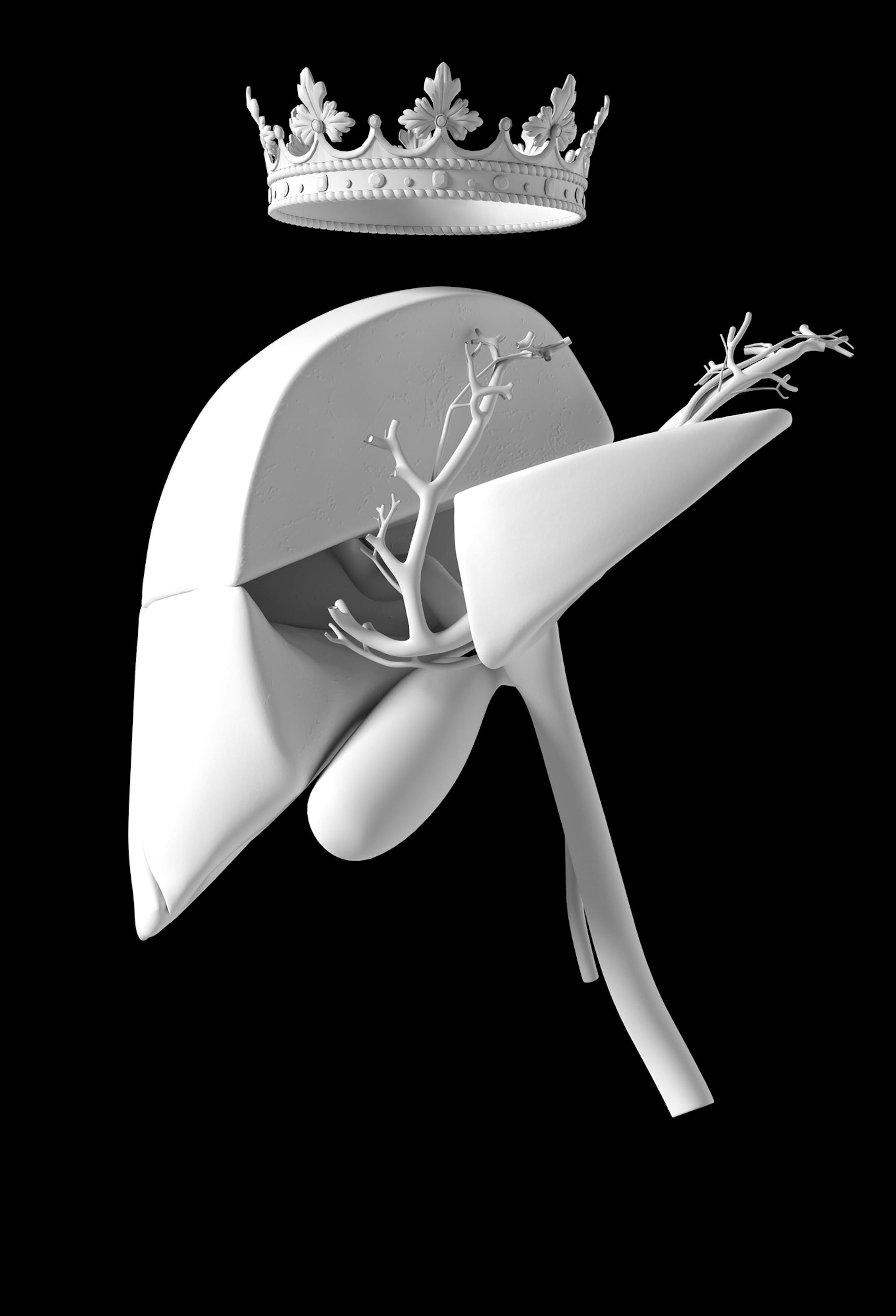 The liver’s to-do list is second only to that of the brain and numbers well over 300 items, so it’s no wonder the ancients believed it to be the home of the human soul. (Guyco/The New York Times) -- NO SALES; FOR EDITORIAL USE ONLY WITH SCI LIVER IMPORTANCE BY NATALIE ANGIER FOR JUNE 13, 2017. ALL OTHER USE PROHIBITED. --