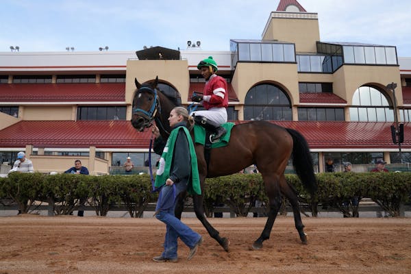 Sink The Bismarck ridden by Constantino Roman was led around the paddock by a groom prior to racing Friday.