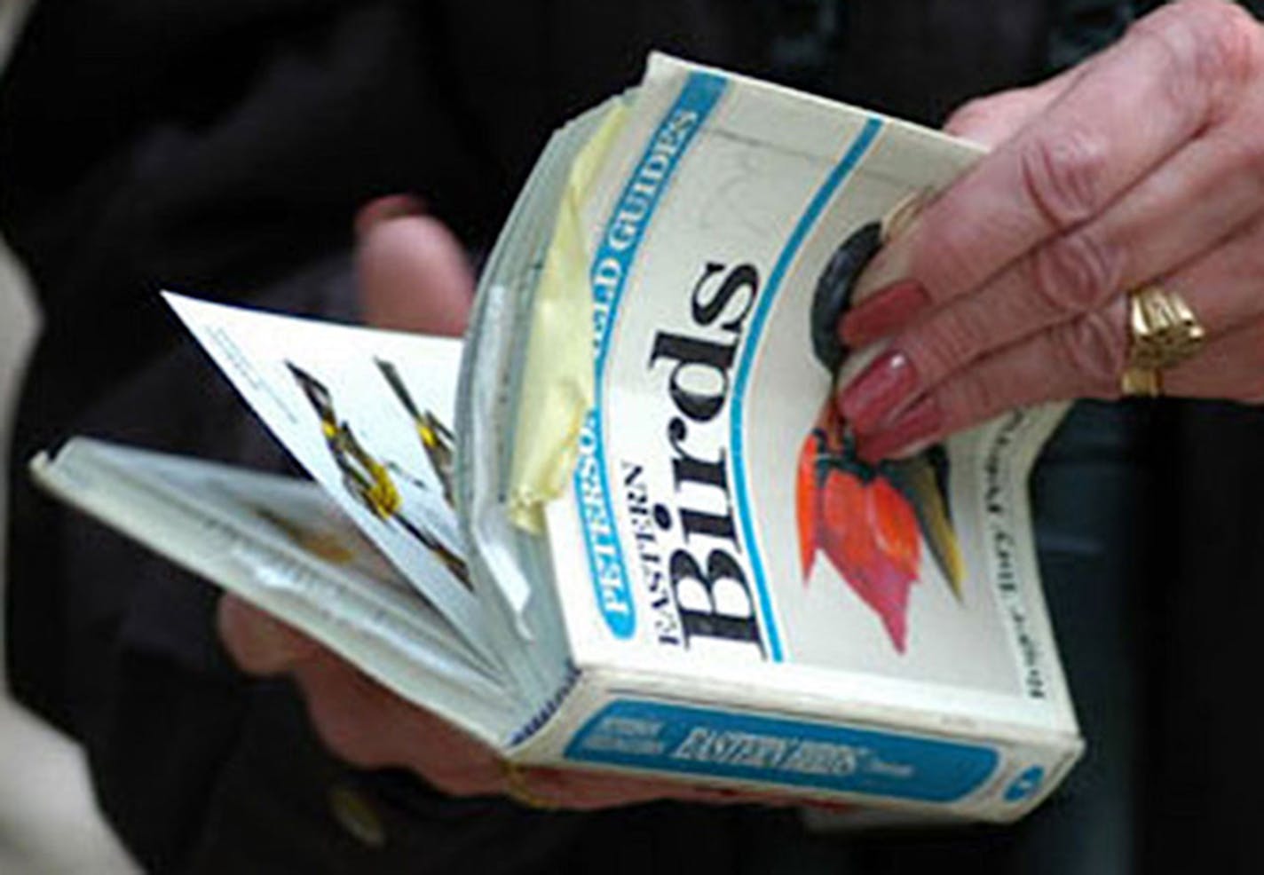 The woman holds an open Peterson Field Guide to Birds.