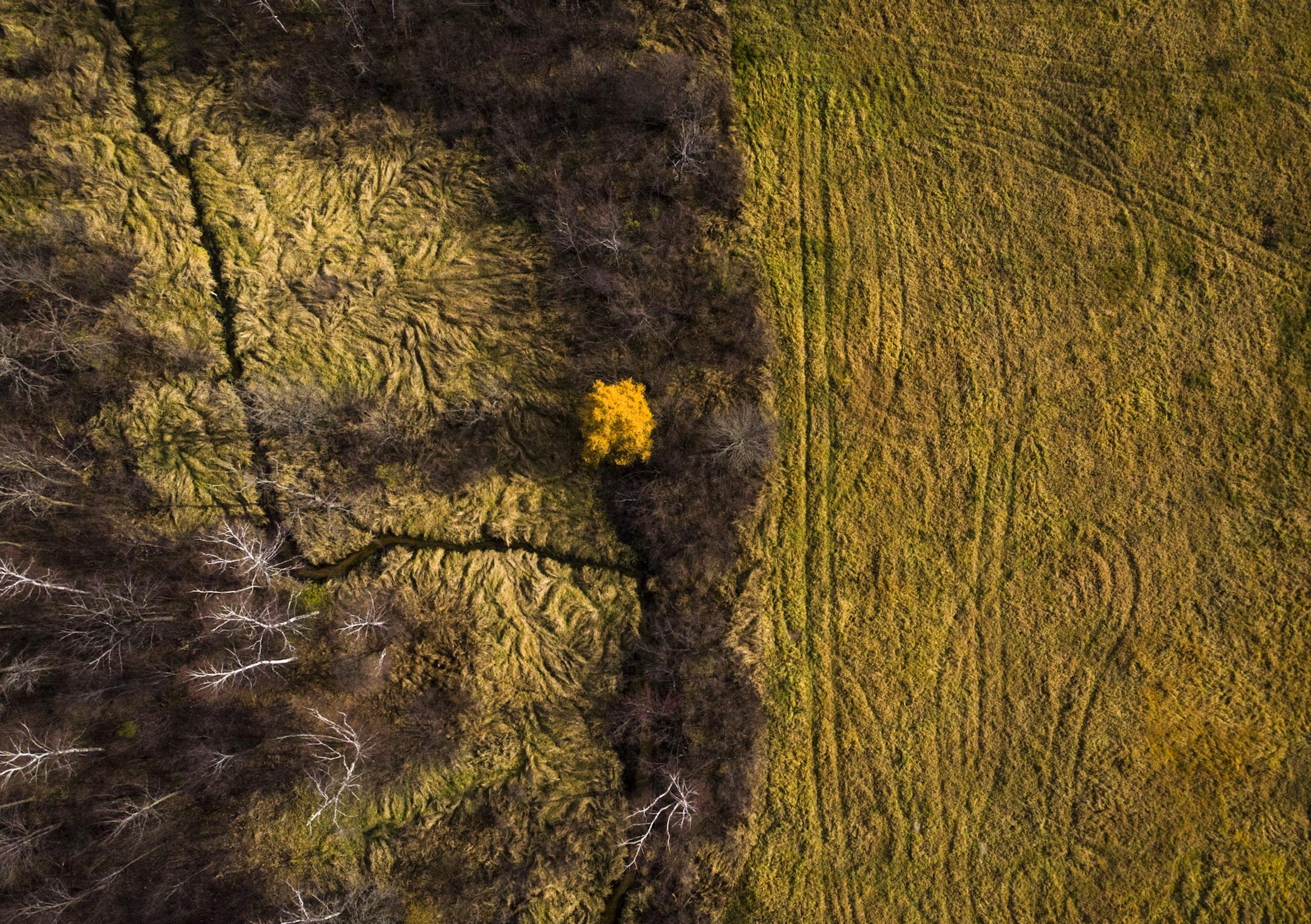 The Little Plover River outside Plover, Wisc., in late October. The flow of the river, a trout stream, has declined by up to 45% as irrigation has increased around it. ] Aaron Lavinsky &#x2022; aaron.lavinsky@startribune.com Photos to accompany Josephine's story on water use in the Central Sands area of Wisc., photographed Wednesday, Oct. 31, 2018.