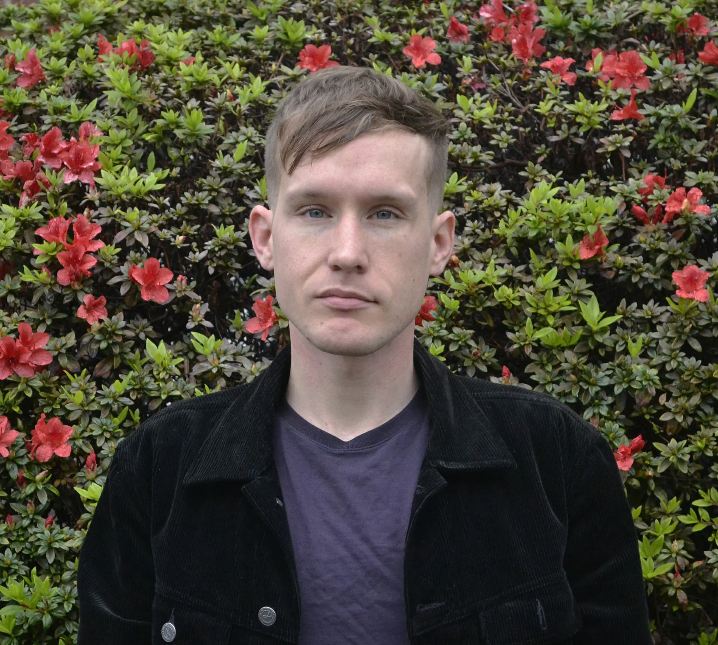 Review: 'A Short Film About Disappointment,' by Joshua Mattson